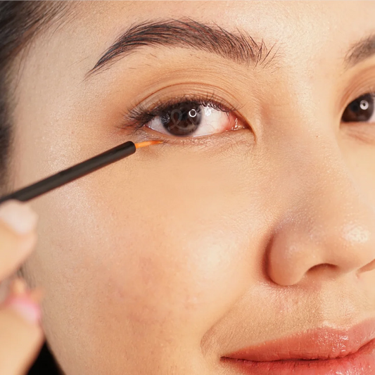Model proses Penggunaan lash brow serum
