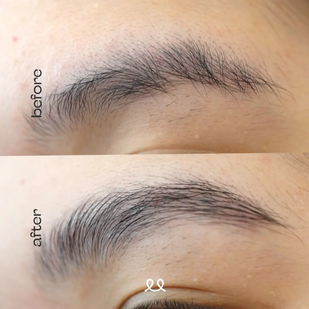 Bundle ForLines Franky Wu x Hibrow x FineLine (Wood)