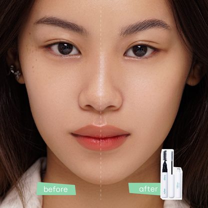 Hi Brow Sculpt